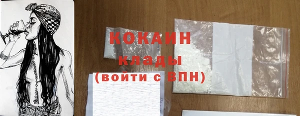 МДПВ Богородск