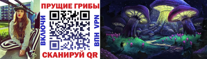 Купить где  Котово  Псилоцибиновые грибы Magic Shrooms 